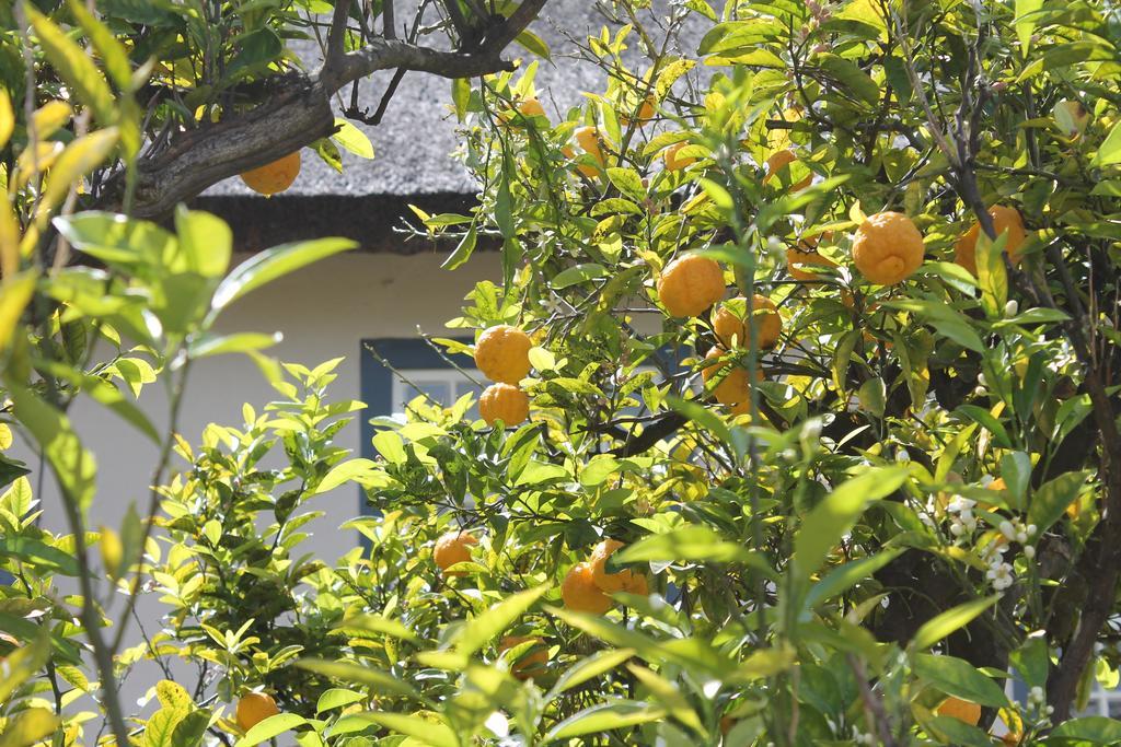 Stellendal Guest House Somerset West Buitenkant foto