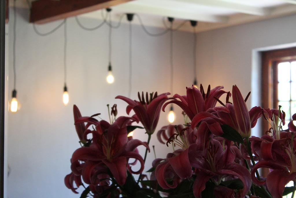 Stellendal Guest House Somerset West Buitenkant foto
