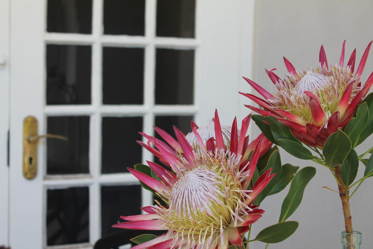 Stellendal Guest House Somerset West Kamer foto
